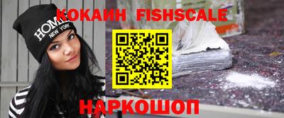 гашик Сланцы