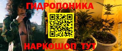 spice Славгород