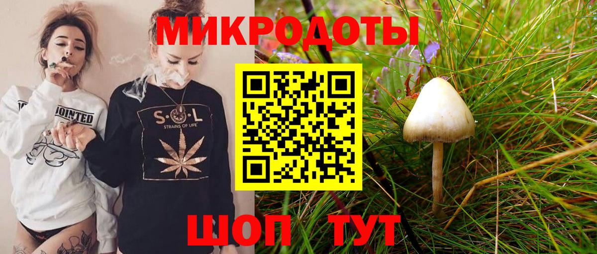 Галлюциногенные грибы Psilocybe Москва